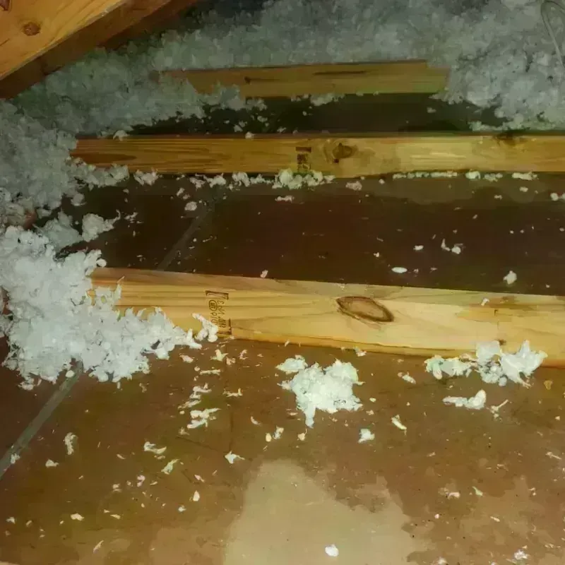 Attic Water Damage in Pierce County, WI